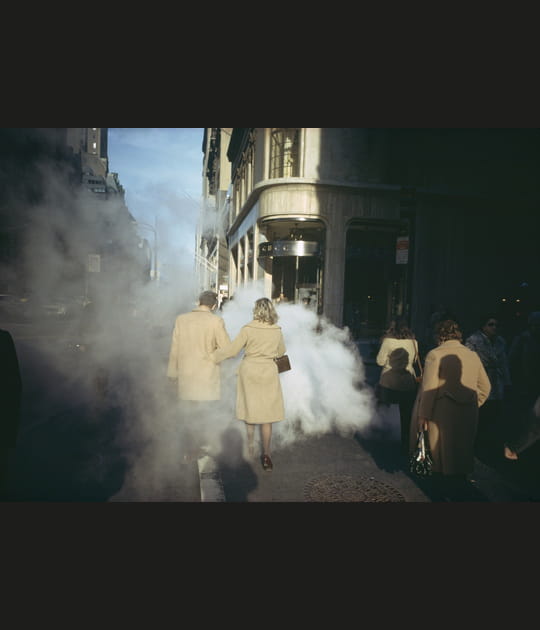 Une retrospective d&eacute;di&eacute;e &agrave; Meyerowitz