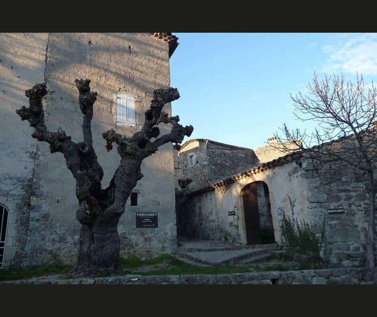 Le Mus&eacute;e du D&eacute;sert