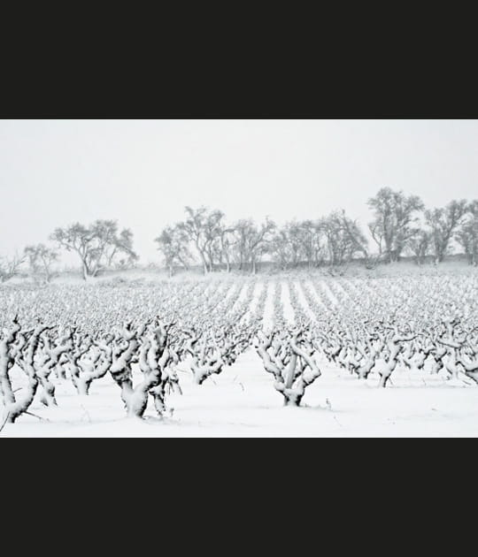 Languedoc-Roussillon