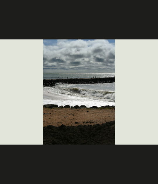 Fin des dunes de sable