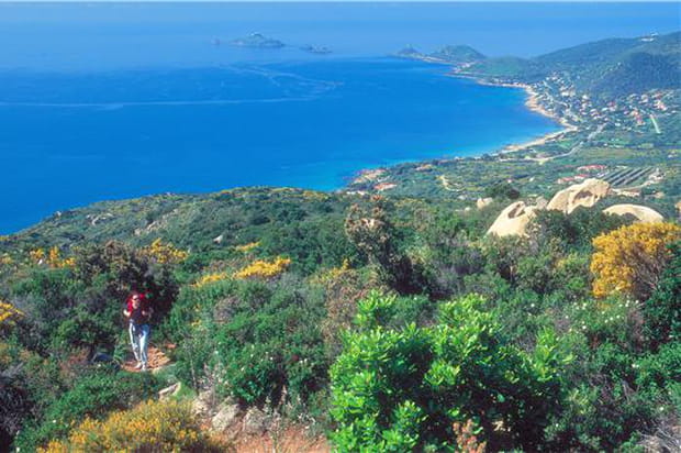 Sur le chemin des crêtes