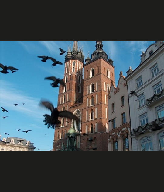 Cracovie, une ville surprenante