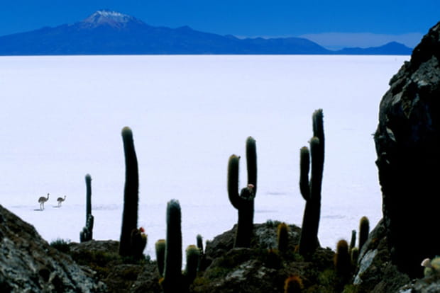 Le Salar de Uyuni