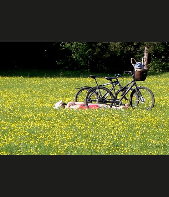 Idylle au vert