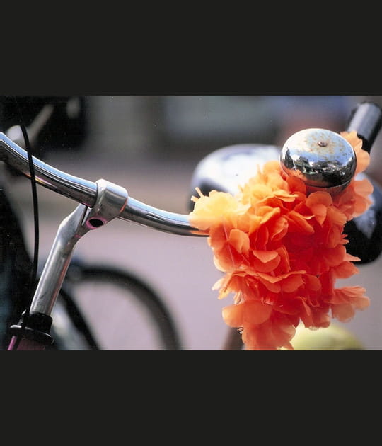 Une bicyclette aux couleurs des Pays-Bas