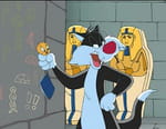 Titi et le tour du monde en 80 chats