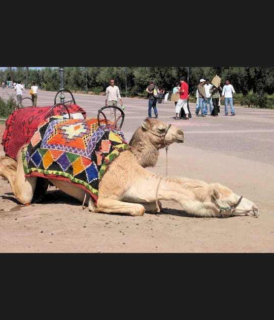 Au repos