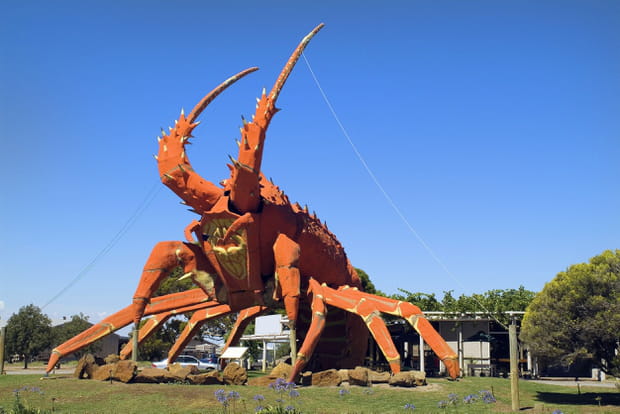 Le homard géant, en Australie