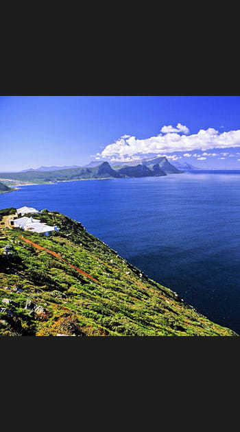 Le royaume floral du Cap