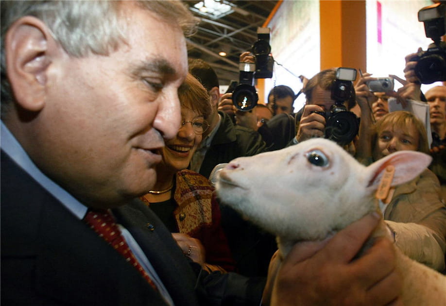 L'ovine attitude