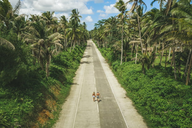 Voyage à Siargao, l'île paradisiaque des Philippines : Coconut Tree Road, pour traverser une forêt de cocotiers