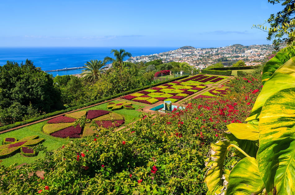 Le jardin botanique de Funchal