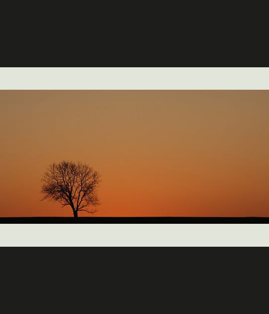 La solitude du cr&eacute;puscule