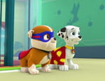 Paw Patrol, la Pat'Patrouille