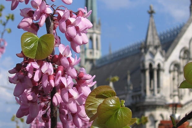 Printemps à Angoulême