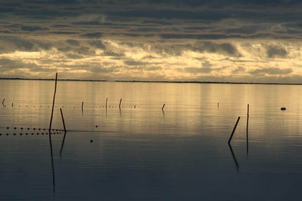 L'étang du Vaccarès, le plus vaste de Camargue