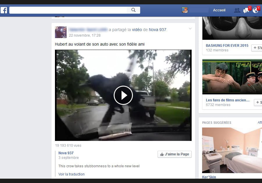 Les vid&eacute;os que vous aimez