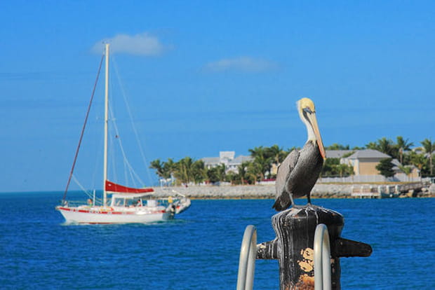 Le plus beau lieu de Floride ?