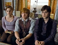 Harry Potter et les reliques de la mort : 1ère partie