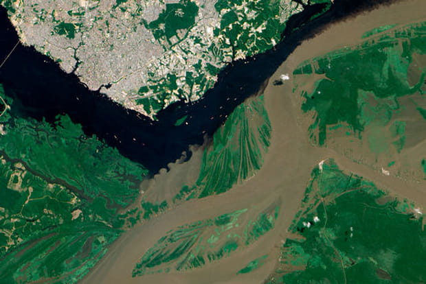 Brésil, l'Amazone et le Rio Negro