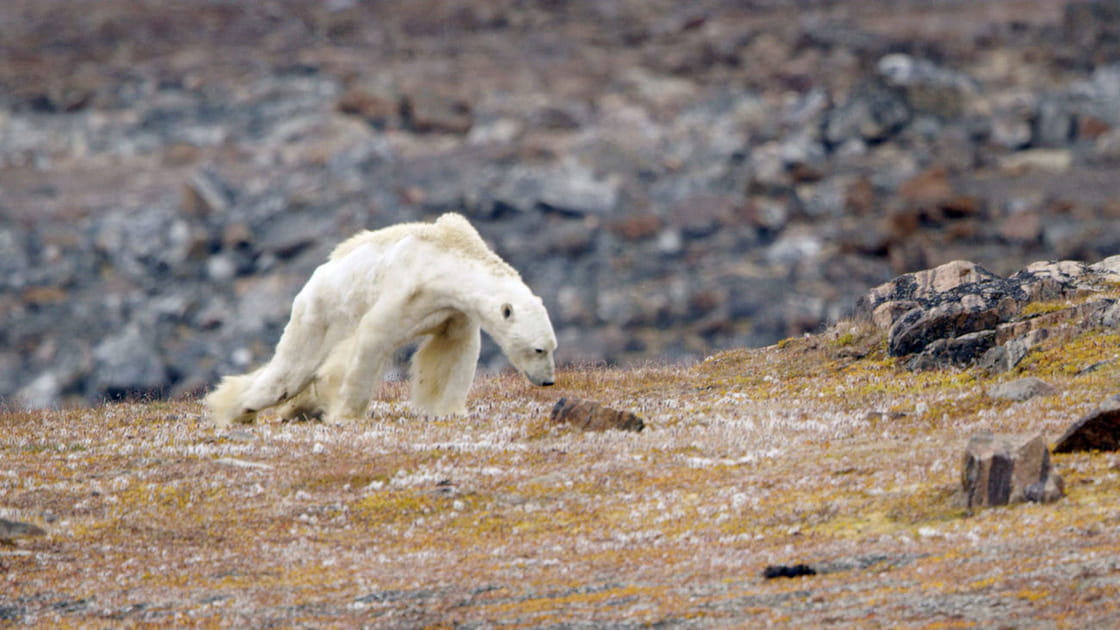 R&eacute;chauffement climatique