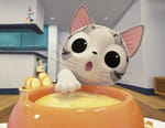 Chi mon chaton