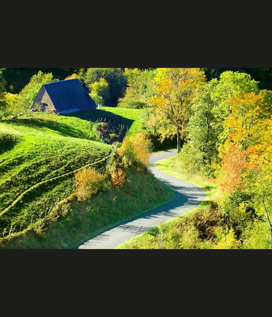 Une route de campagne