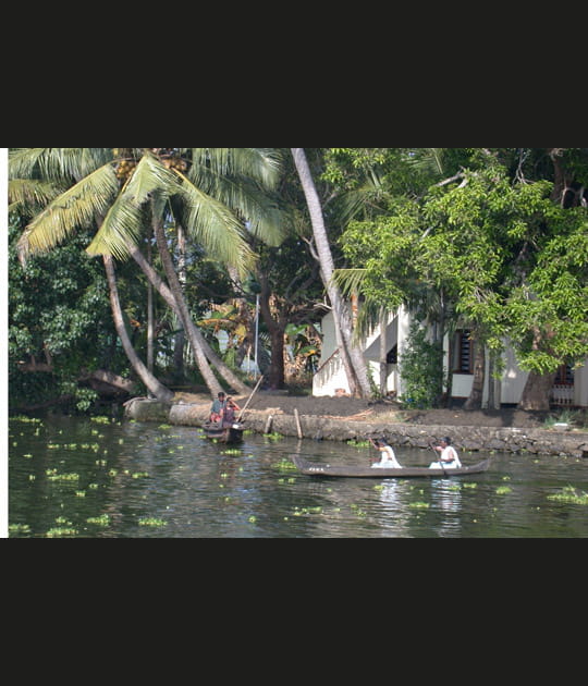 Inde&nbsp;: la vie sur l'eau