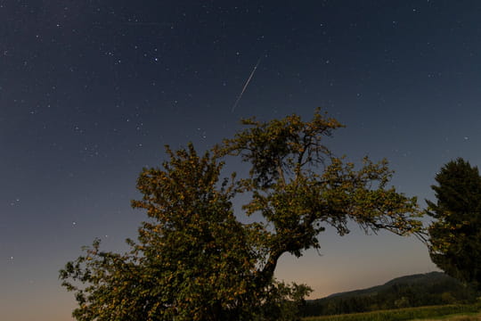 Pers&eacute;ides 2025&nbsp;: vous pouvez encore observer des &eacute;toiles filantes jusqu'&agrave; cette date