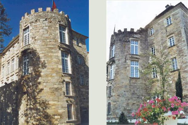 Le donjon de la Reine
