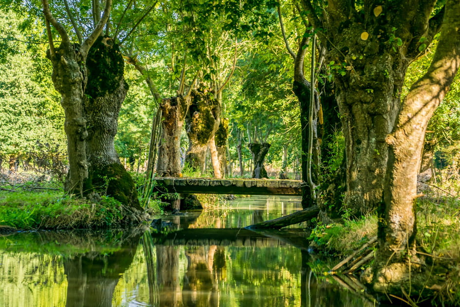 En Vend&eacute;e avec Pieds d'AventureS