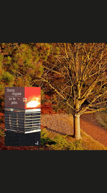 &quot;Sur les jantes&quot; de Thomas McGuane