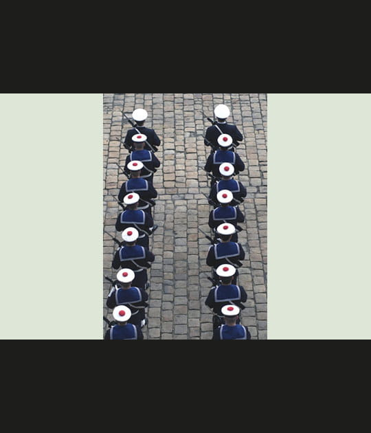 Des sections de chaque r&eacute;giment