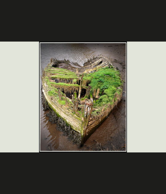 L'&eacute;pave amoureuse