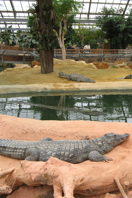 La Dr&ocirc;me et sa Ferme aux crocodiles