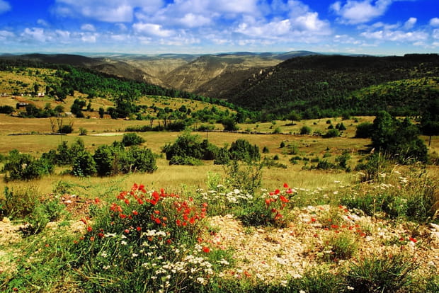 Le Parc National des Cévennes