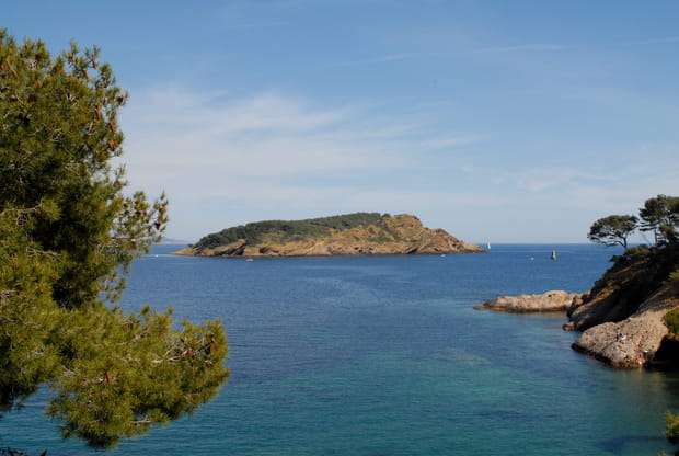 L'île verte