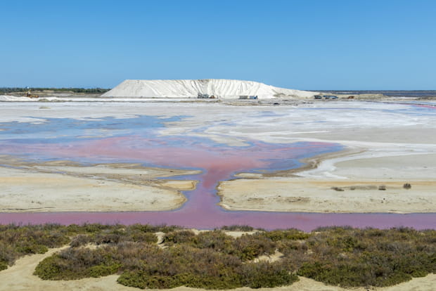 Salin-de-Giraud, Bouches-du-Rhône