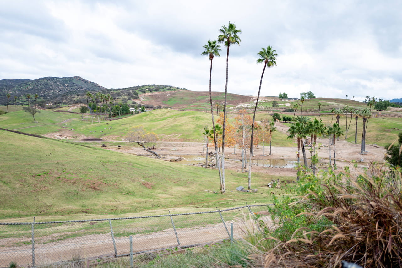 Un animal de 140 ans, star du zoo de San Diego, a été tué par les dirigeants du parc
