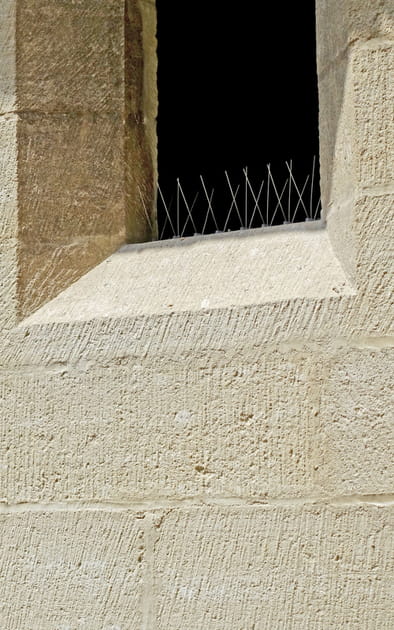Des pics m&eacute;talliques