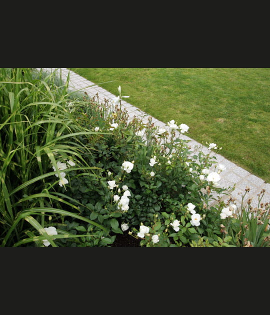 D&eacute;ambulations