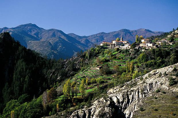 Lieuche à flanc de montagne