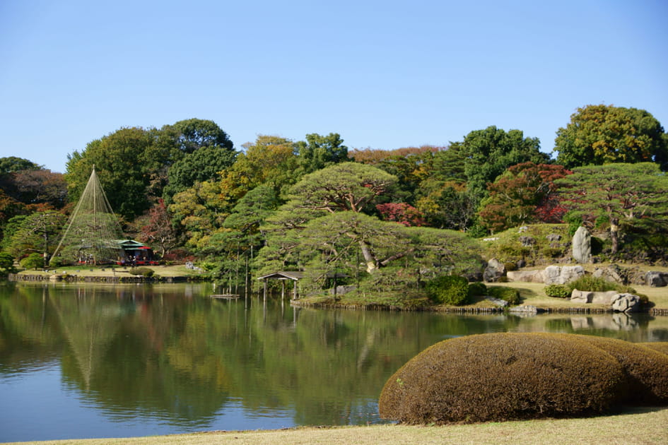 Le jardin Rikugien au Japon