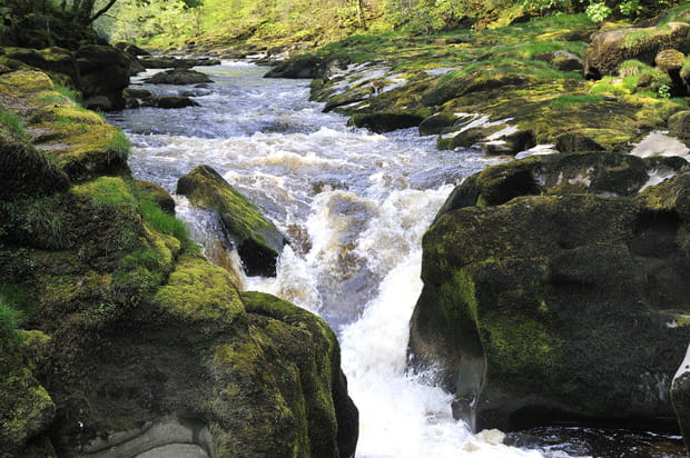 Le Bolton strid en Angleterre