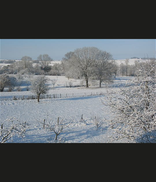 Moselle sous la neige
