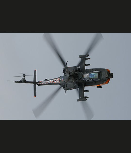 L'Apache hollandais