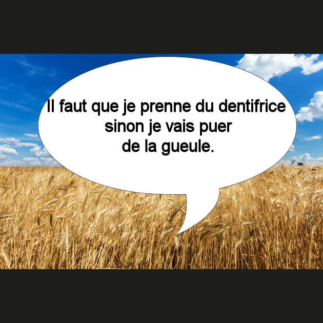 Virginie&nbsp;: toujours les dents propres