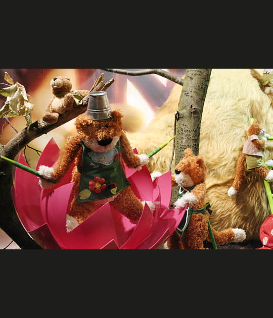 Ours jardiniers au Printemps