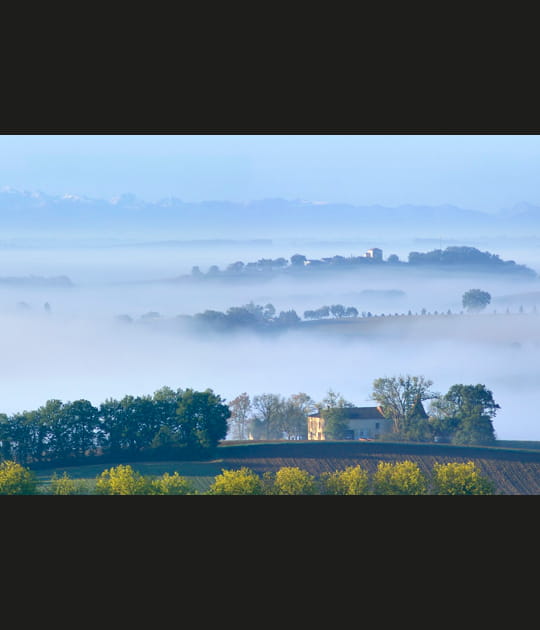 Matin d'automne