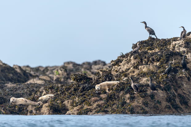 L'Archipel de Molène